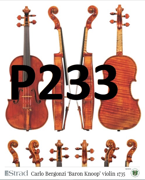 P233